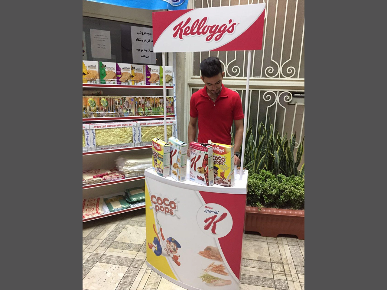 Kelloggs Breakfast Cereal-Sampling & Promotion